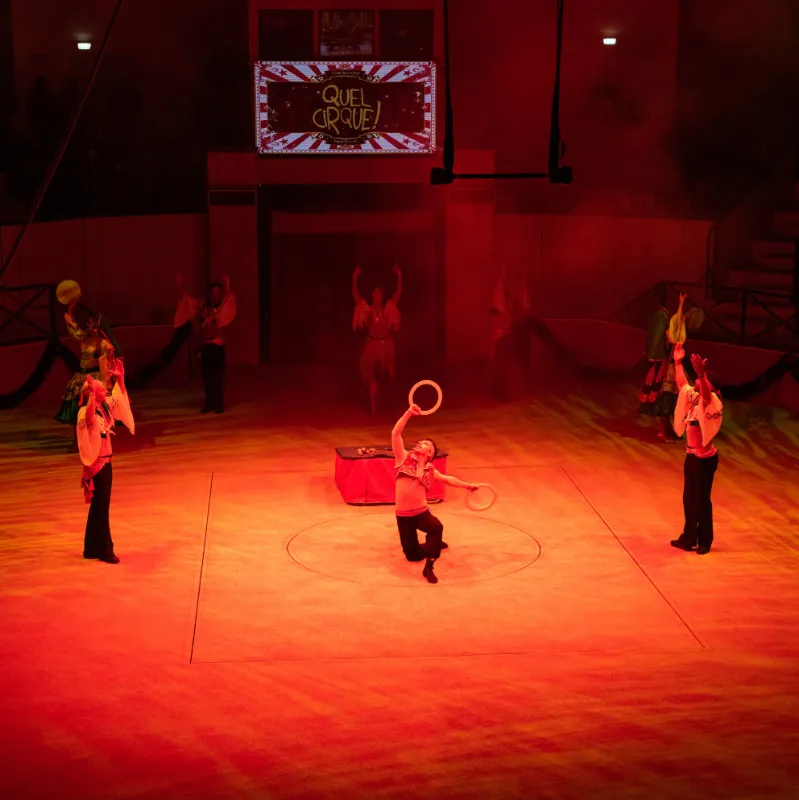 Quel cirque du Parc Astérix